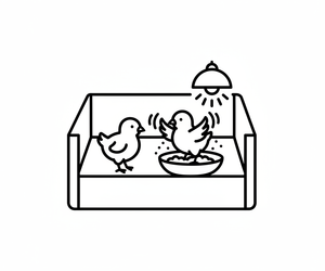 location_5_image
