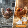 Chicken Dust Bath Sand Mix