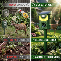 Key Differences